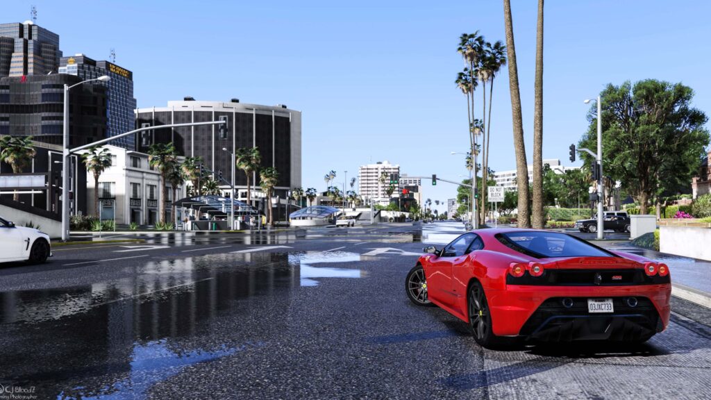 GTA 5 RP Terimleri