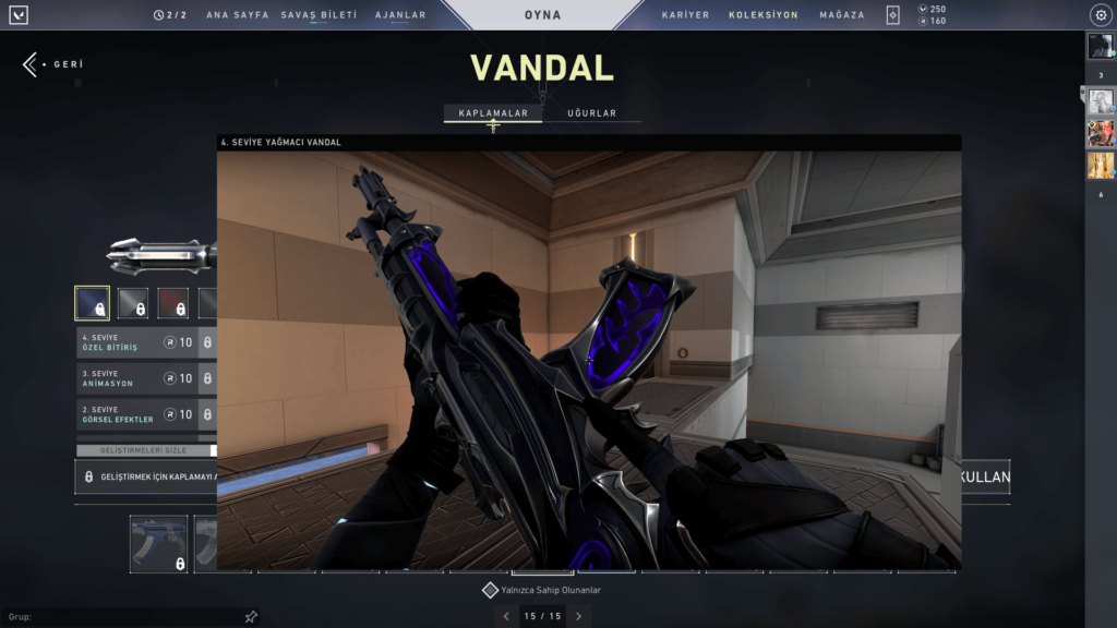 Valorant Skin Geliştirme