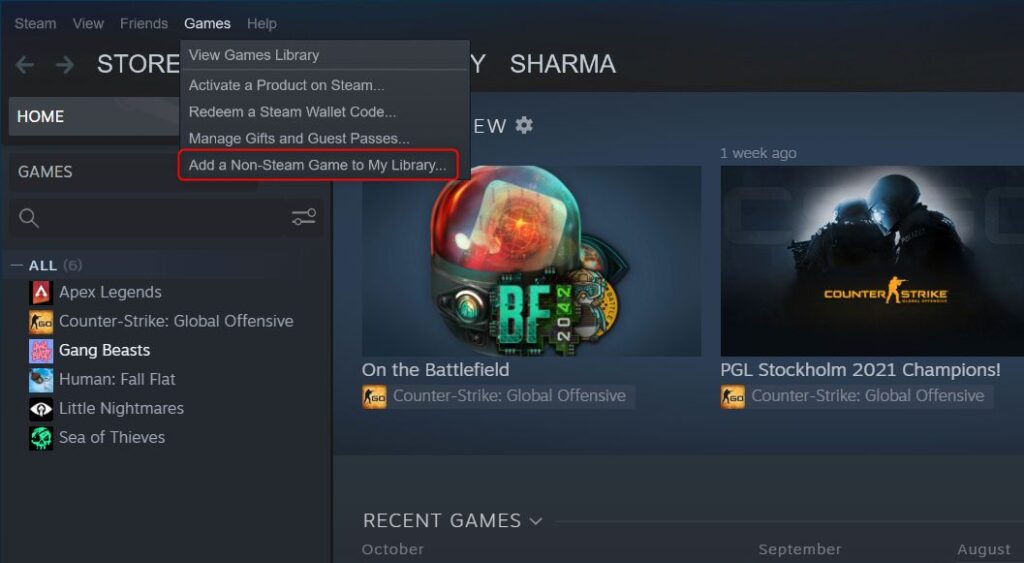 Steam Dışı Oyunlar