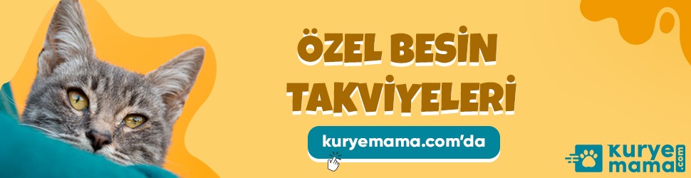 kedi mamaları