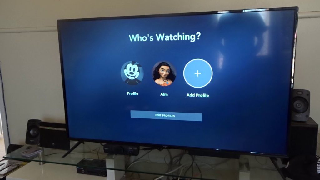 Disney Plus Profili Nasıl Düzenlenir veya Silinir?
