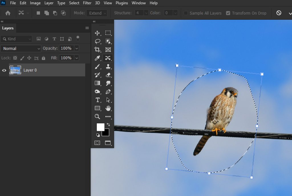 Photoshop'ta Görüntü Çevirmek