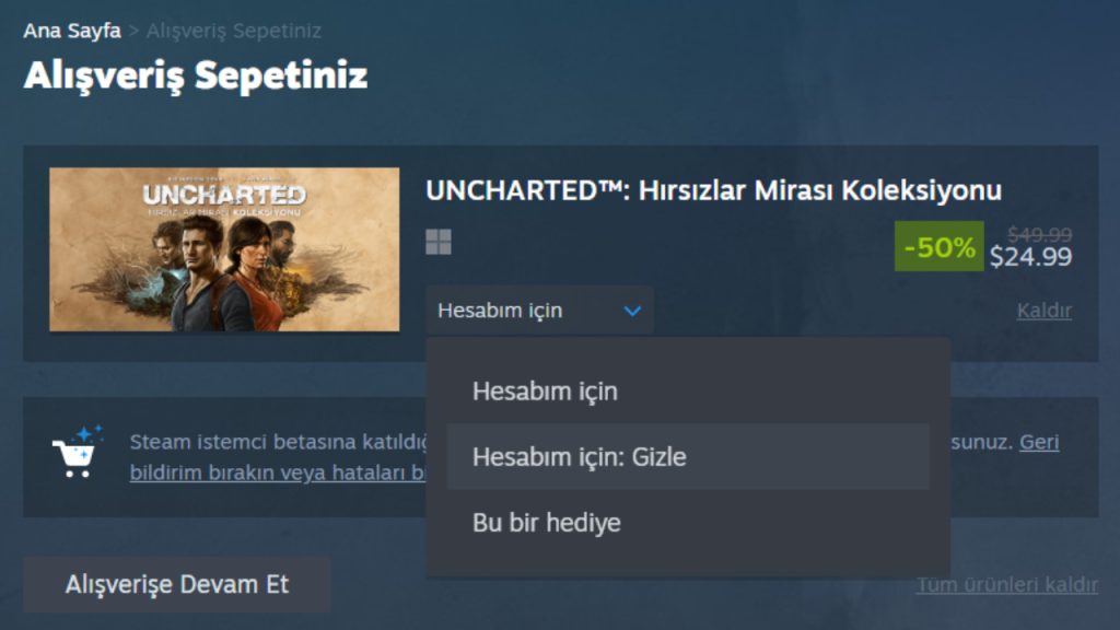 Steam Oyun Gizlersek Ne Olur?