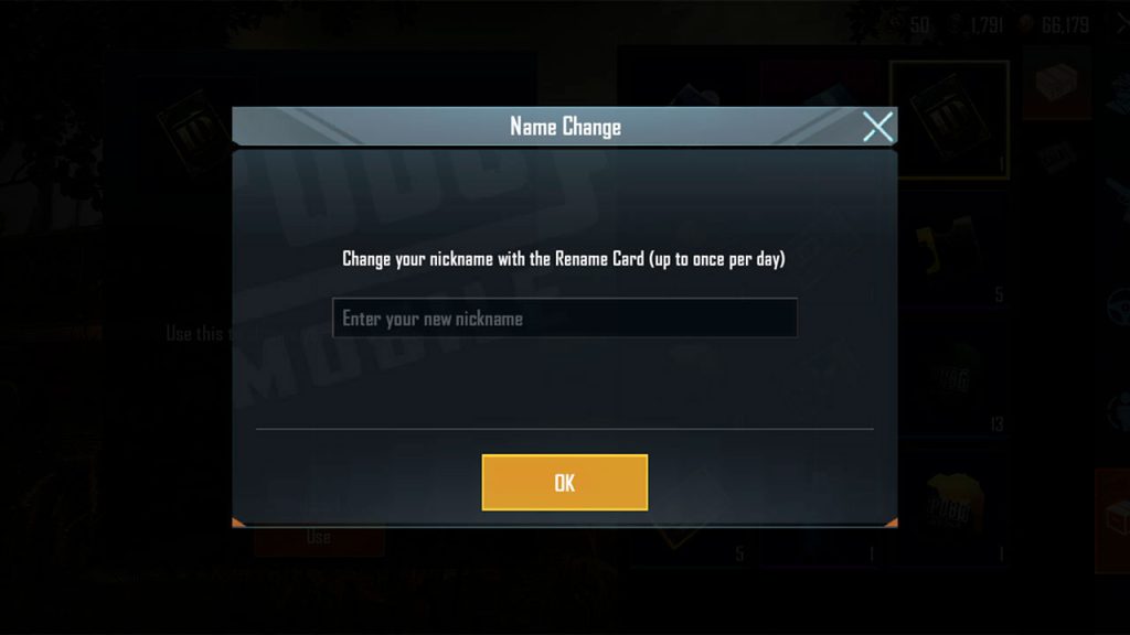 PUBG İsim Değişikliği Nasıl Yapılır?