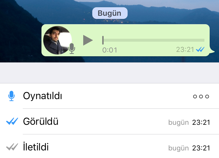 Görüldüsü Kapalı Birinin Mesajı Okuduğunu Nasıl Anlarız?